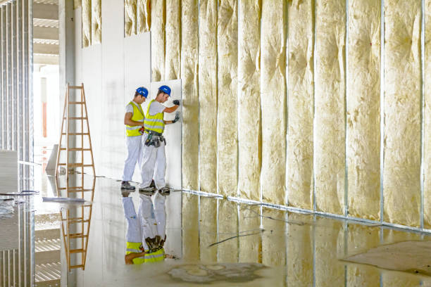 Best Commercial Insulation in Adrian, MI